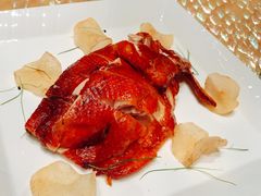 -8餐厅(新葡京酒店)