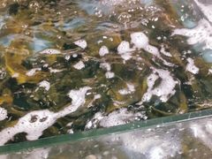 -花园新村肉菜市场(市场路店)