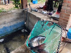 -姥家大锅台水库渔家