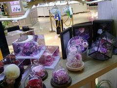 永生花-谷莠子花艺气球派对·绿植造景·花艺沙龙(东海缤纷天地店)