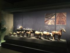 -汉景帝阳陵博物院