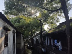 -绍兴鲁迅故里·沈园景区