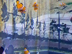 -烟台海昌鲸鲨海洋公园