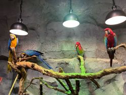 -Zoolung Zoolung动物主题公园(海信广场店)