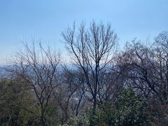 -大蜀山国家森林公园
