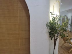 -ANNIL安奈尔·NASX超透白·科技抗衰·问题性肌肤管理
