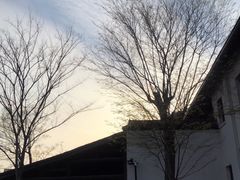 -章太炎故居