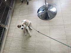 -宠颐生宠物医院·骨外科·犬猫全科诊疗中心(池州店)