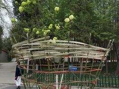 -西安市长乐公园