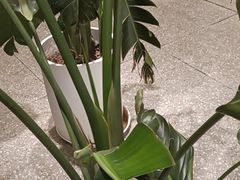 -西贝莜面村(上海百联西郊店)