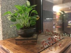 -春水堂人文茶馆(中正店)