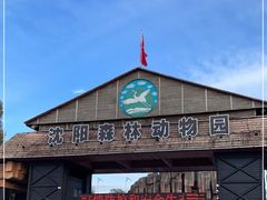 -沈阳森林动物园