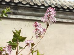 -三里河公园
