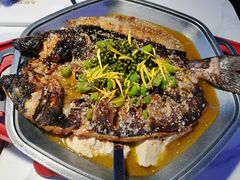 -马邦子·紫苏烤鱼(恒隆广场店)