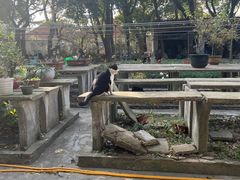 -西园戒幢律寺