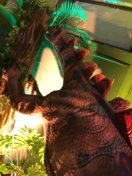 -恐龙探索乐园(磁器口店)