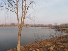 -东郊湿地公园