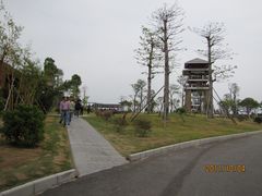 -大湾区中央湿地公园