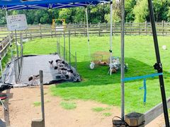 -前小桔亲子创意农场·草莓采摘·露营烧烤