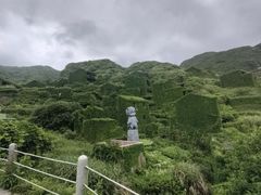 -枸杞岛