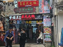 -吉丁鸟咖·异宠·寄养