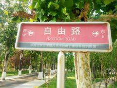-山东大学(洪家楼校区)
