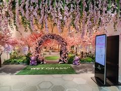 -DFS迪斐世(澳门新濠天地店)