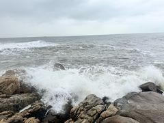 -大锅强·蒸海鲜青岛菜(吾悦广场店)