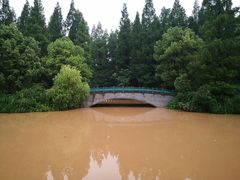 -东平国家森林公园