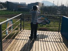 -田园东方蜜桃村的田野营地