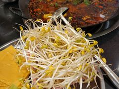 井水豆芽-鸿顺老铁锅美蛙鱼府(解放碑店)