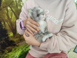 -IMON·HANSA潮玩玩偶毛绒玩具(通州万象汇店)