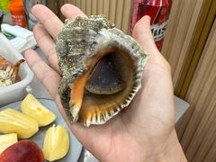 海螺-仙螺岛海鲜自助餐厅(总店)
