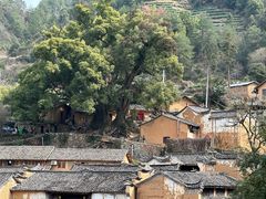 -杨家堂村