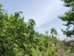 -抱犊寨风景区