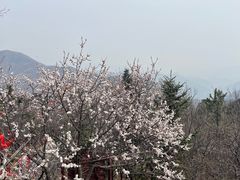 -妙峰山风景名胜区