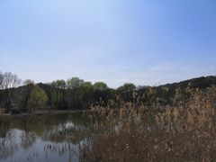 -西湖风景区-江洋畈生态公园