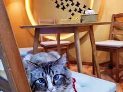 -白兔子密室(长寿路店)