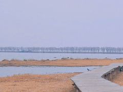 -野鸭湖国家湿地公园