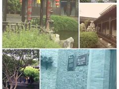 -溱湖国家湿地公园