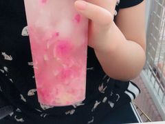 -NOBiBi