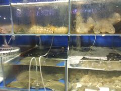 -船家渔(徐州北路店)