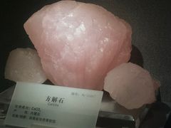 -湖南省地质博物馆