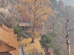 -沕沕水生态风景区