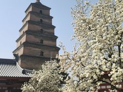 -大慈恩寺(大雁塔)