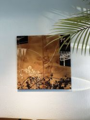 -小梨·OndaPro·专业脱毛连锁机构