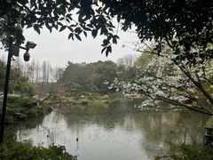 -杭州植物园