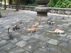 -四门塔风景区
