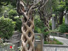 -广州神农草堂中医药博物馆