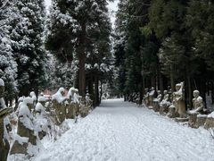 -武陵山森林公园